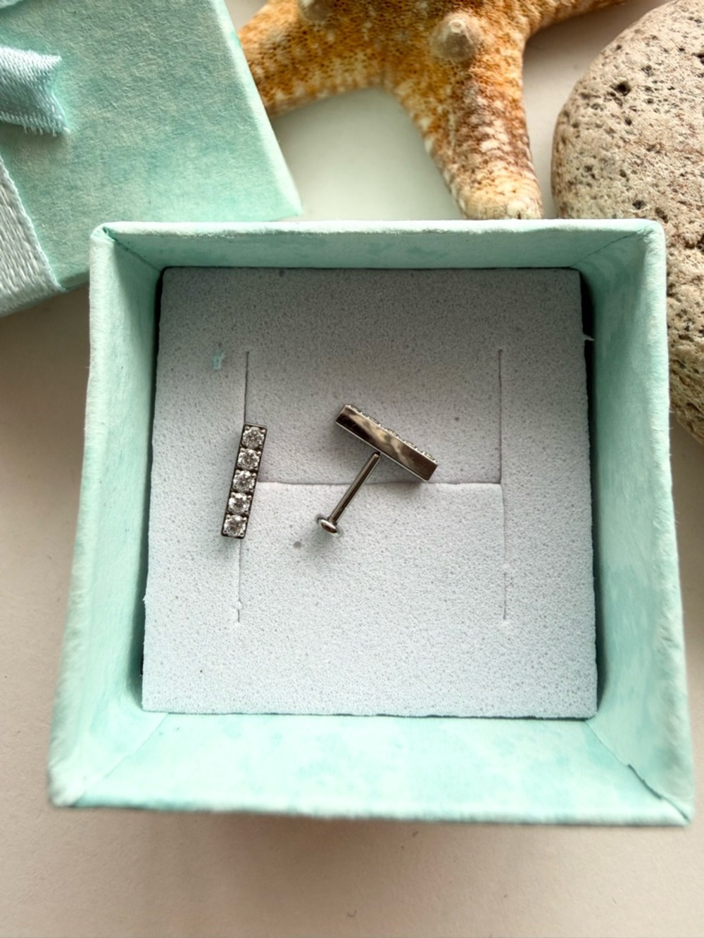 Pierced Universe Titanium Flat back Earrings